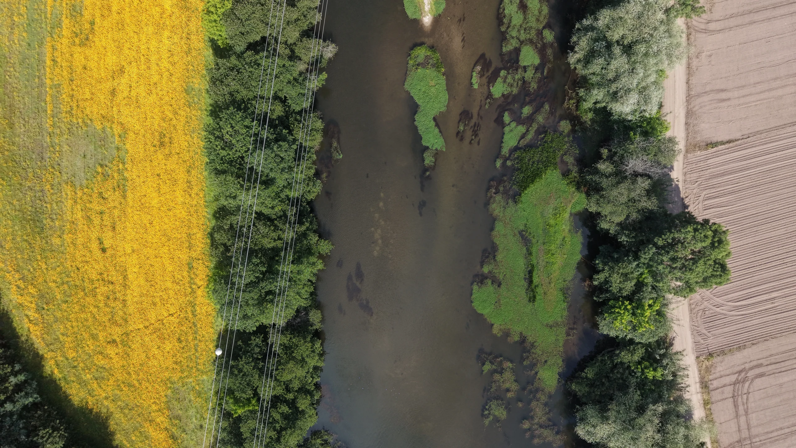 Proteção e qualificação ambiental do rio Águeda