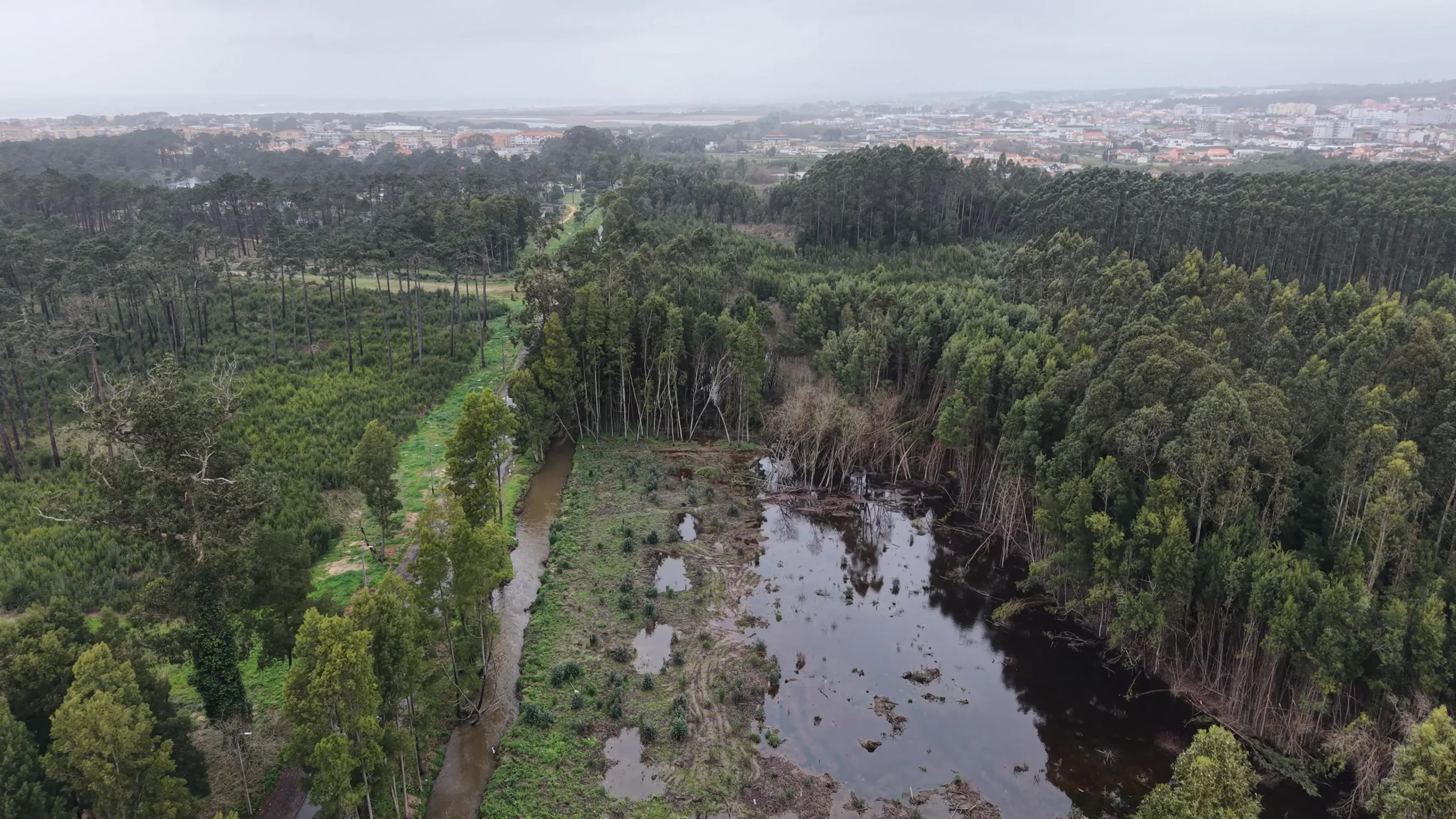 Proteção e qualificação ambiental das margens do rio Lambo até à Barrinha de Esmoriz