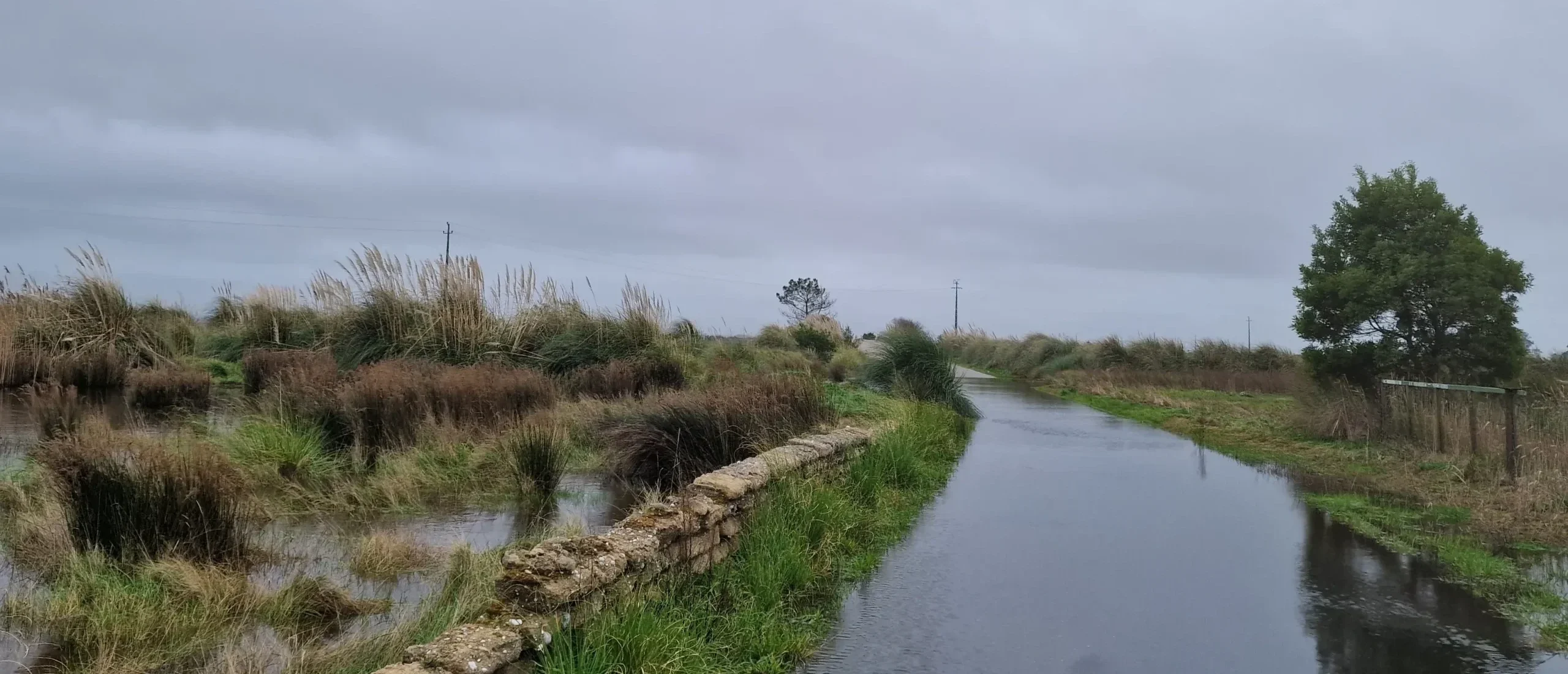 Proteção dos Campos Agrícolas da Intrusão Salina - Ovar